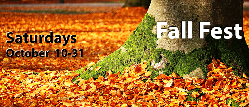 Tree with moss surrounded by fall foliage; with 'Fall Fest - Saturdays, October 10-31'